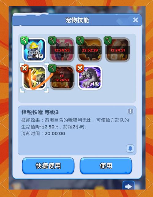 壮游奇迹最强宠物_壮游奇迹弓箭手的技能保护值恢复起什么作用？