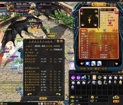 奇迹龙属性列表和分数_魔域奇迹龙所有评分计算？