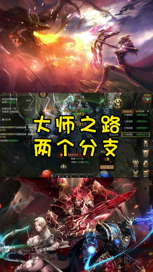 奇迹1.2万点圣导加点_奇迹1.03私服会员圣导怎么加点？